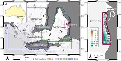 Impacts of large scale climate modes on the current and future bimodal wave climate of a semi-protected shallow gulf